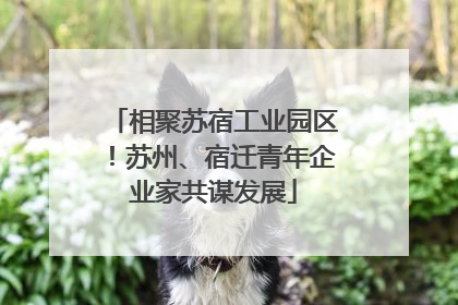 相聚苏宿工业园区！苏州、宿迁青年企业家共谋发展