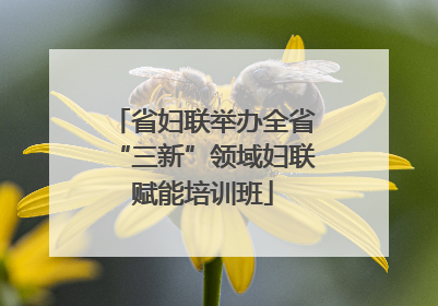 省妇联举办全省“三新”领域妇联赋能培训班