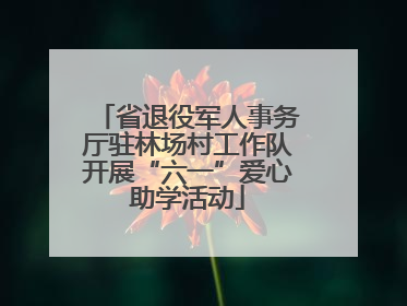 省退役军人事务厅驻林场村工作队开展“六一”爱心助学活动