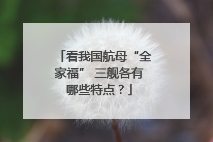 看我国航母“全家福” 三舰各有哪些特点？