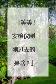 等等！安检仪刚刚过去的是啥？