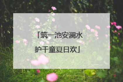 筑一池安澜水 护千童夏日欢
