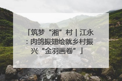 筑梦“湘”村｜江永：肉鸽振翅绘就乡村振兴“金羽画卷”