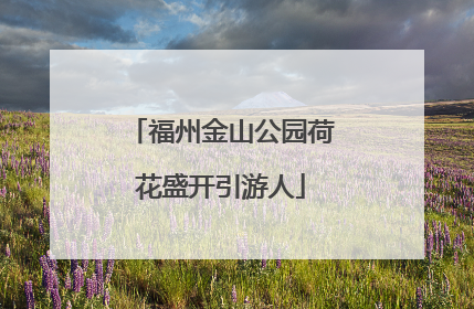 福州金山公园荷花盛开引游人