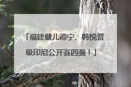 福建健儿谭宁、韩悦晋级印尼公开赛四强！