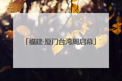 福建·厦门台湾周启幕