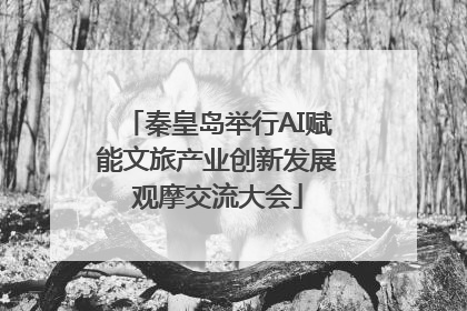 秦皇岛举行AI赋能文旅产业创新发展观摩交流大会