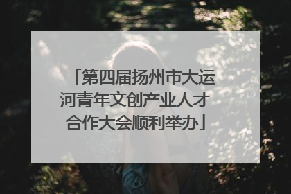 第四届扬州市大运河青年文创产业人才合作大会顺利举办