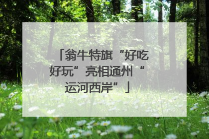 翁牛特旗“好吃好玩”亮相通州“运河西岸”