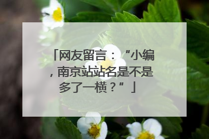 网友留言：“小编，南京站站名是不是多了一横？”