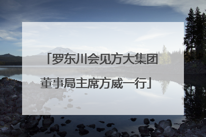 罗东川会见方大集团董事局主席方威一行