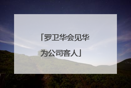 罗卫华会见华为公司客人