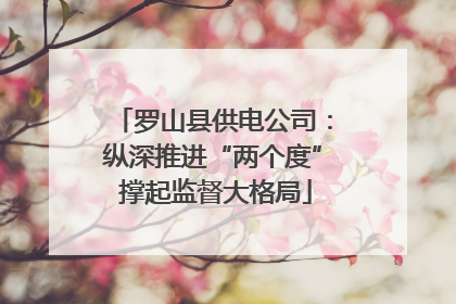 罗山县供电公司：纵深推进“两个度” 撑起监督大格局