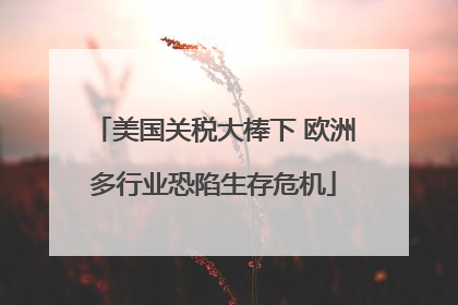 美国关税大棒下 欧洲多行业恐陷生存危机