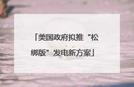 美国政府拟推“松绑版”发电新方案