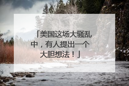 美国这场大骚乱中，有人提出一个大胆想法！