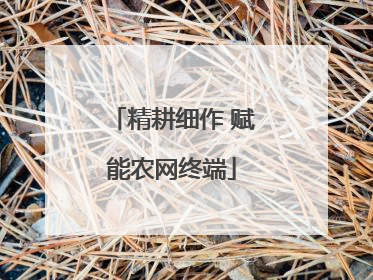 精耕细作 赋能农网终端
