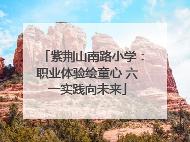 紫荆山南路小学：职业体验绘童心 六一实践向未来