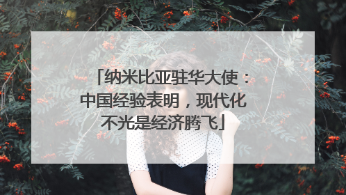 纳米比亚驻华大使：中国经验表明，现代化不光是经济腾飞