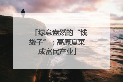 绿意盎然的“钱袋子”：高原夏菜成富民产业