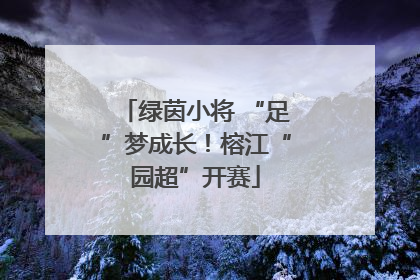 绿茵小将 “足”梦成长！榕江“园超”开赛