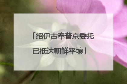 绍伊古奉普京委托已抵达朝鲜平壤
