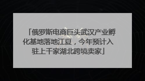 俄罗斯电商巨头武汉产业孵化基地落地江夏，今年预计入驻上千家湖北跨境卖家