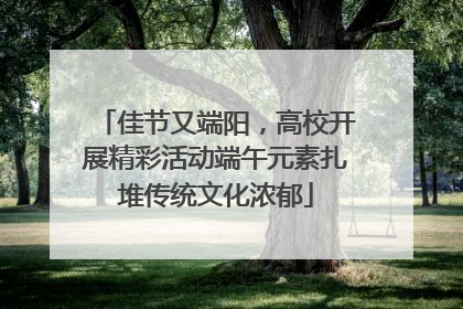 佳节又端阳，高校开展精彩活动端午元素扎堆传统文化浓郁