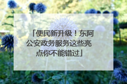 便民新升级！东阿公安政务服务这些亮点你不能错过