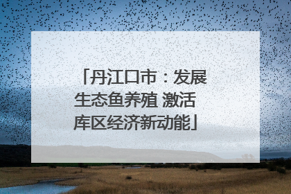 丹江口市：发展生态鱼养殖 激活库区经济新动能