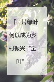 一片绿叶何以成为乡村振兴“金叶”