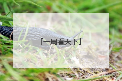 一周看天下