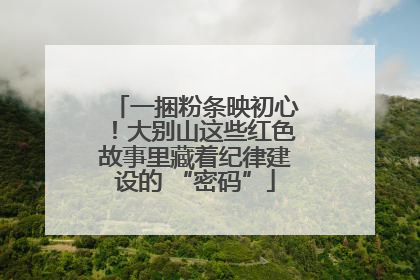 一捆粉条映初心！大别山这些红色故事里藏着纪律建设的 “密码”
