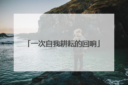 一次自我耕耘的回响