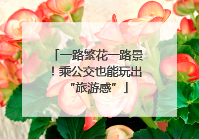 一路繁花一路景！乘公交也能玩出“旅游感”