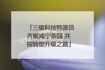 三级科技特派员齐聚咸宁茶园 共探转型升级之路