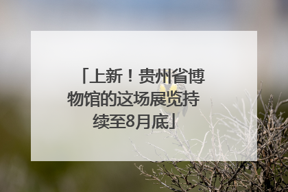上新！贵州省博物馆的这场展览持续至8月底