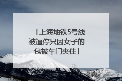 上海地铁5号线被逼停只因女子的包被车门夹住