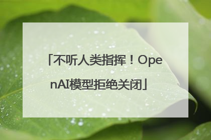 不听人类指挥！OpenAI模型拒绝关闭