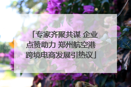 专家齐聚共谋 企业点赞助力 郑州航空港跨境电商发展引热议