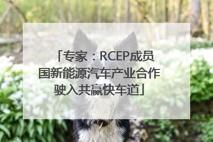 专家：RCEP成员国新能源汽车产业合作驶入共赢快车道