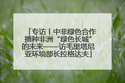 专访丨中非绿色合作播种非洲“绿色长城”的未来——访毛里塔尼亚环境部长拉格达夫