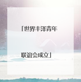 世界丰泽青年联谊会成立