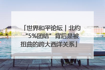 世界和平论坛｜北约“5%团结”背后是被扭曲的跨大西洋关系