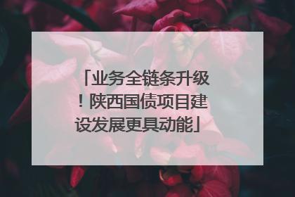 业务全链条升级！陕西国债项目建设发展更具动能