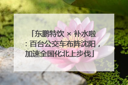 东鹏特饮 × 补水啦：百台公交车布阵沈阳，加速全国化北上步伐