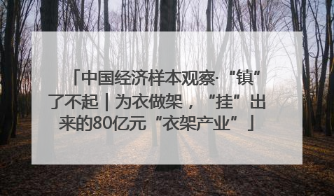 中国经济样本观察·“镇”了不起｜为衣做架，“挂”出来的80亿元“衣架产业”