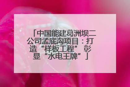 中国能建葛洲坝二公司孟底沟项目：打造“样板工程” 彰显“水电王牌”