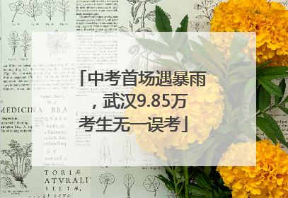 中考首场遇暴雨，武汉9.85万考生无一误考