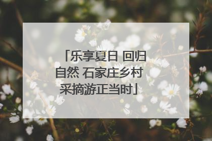乐享夏日 回归自然 石家庄乡村采摘游正当时